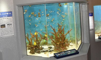 素人が作ったお魚図鑑｜越前松島水族館６ おさかな館４(やや深海～2)