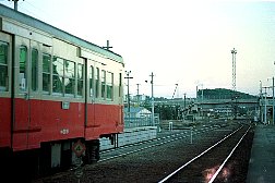 素人が作ったお魚図鑑|TRAIN 素人が作ったお魚図鑑|TRAIN
