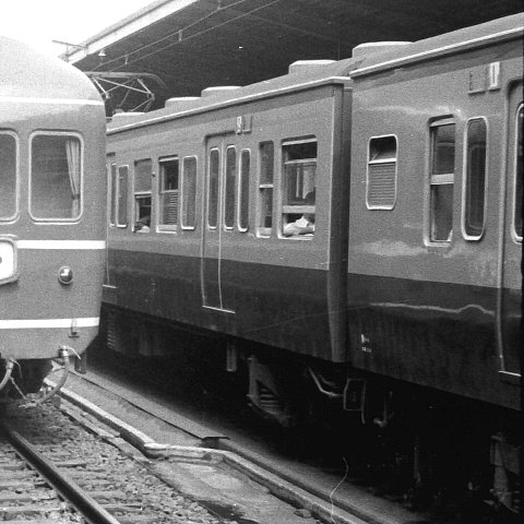 素人が作ったお魚図鑑｜国鉄キハ58系